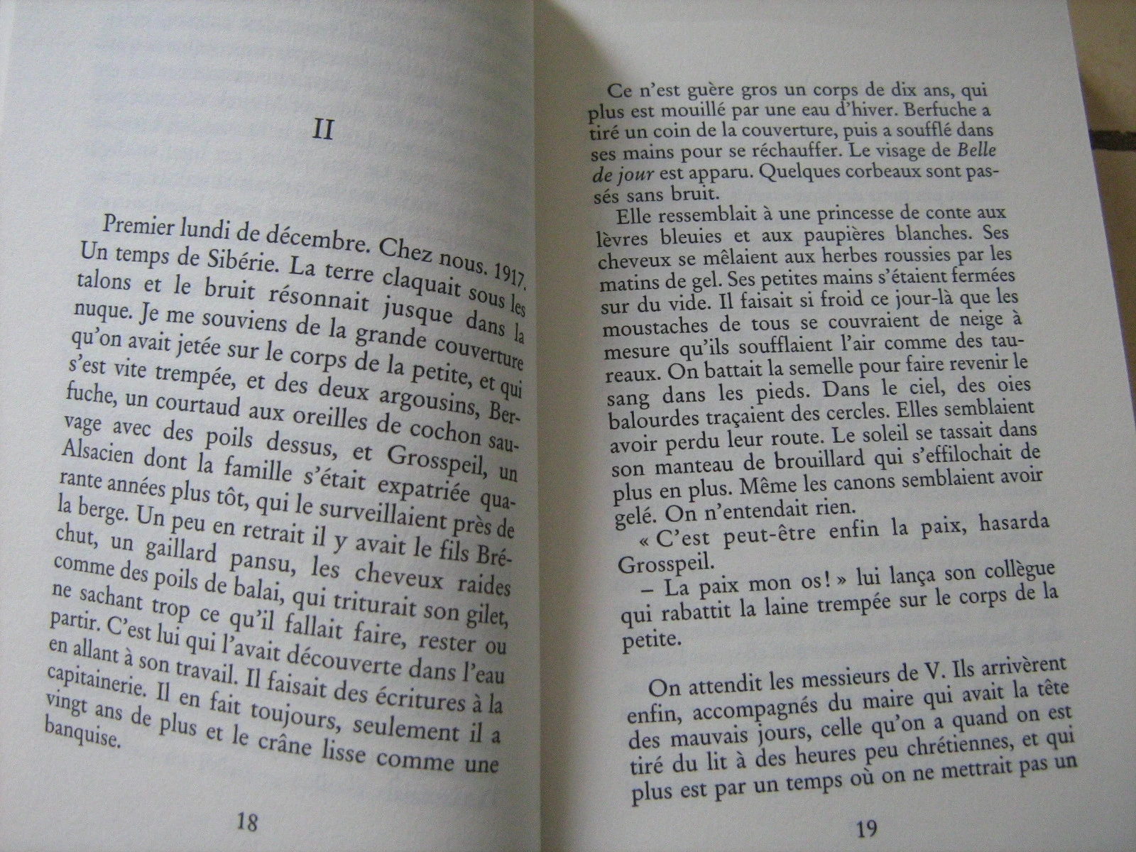 as almas cinzentas – photo 5